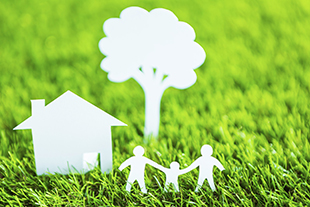 Environmental Issues and the Real Estate Professional 