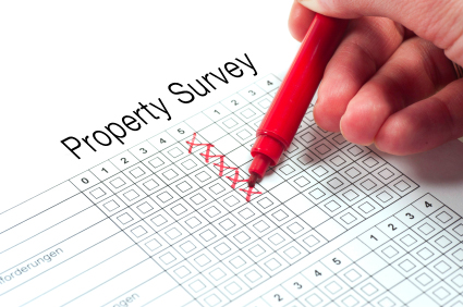 real estate property survey